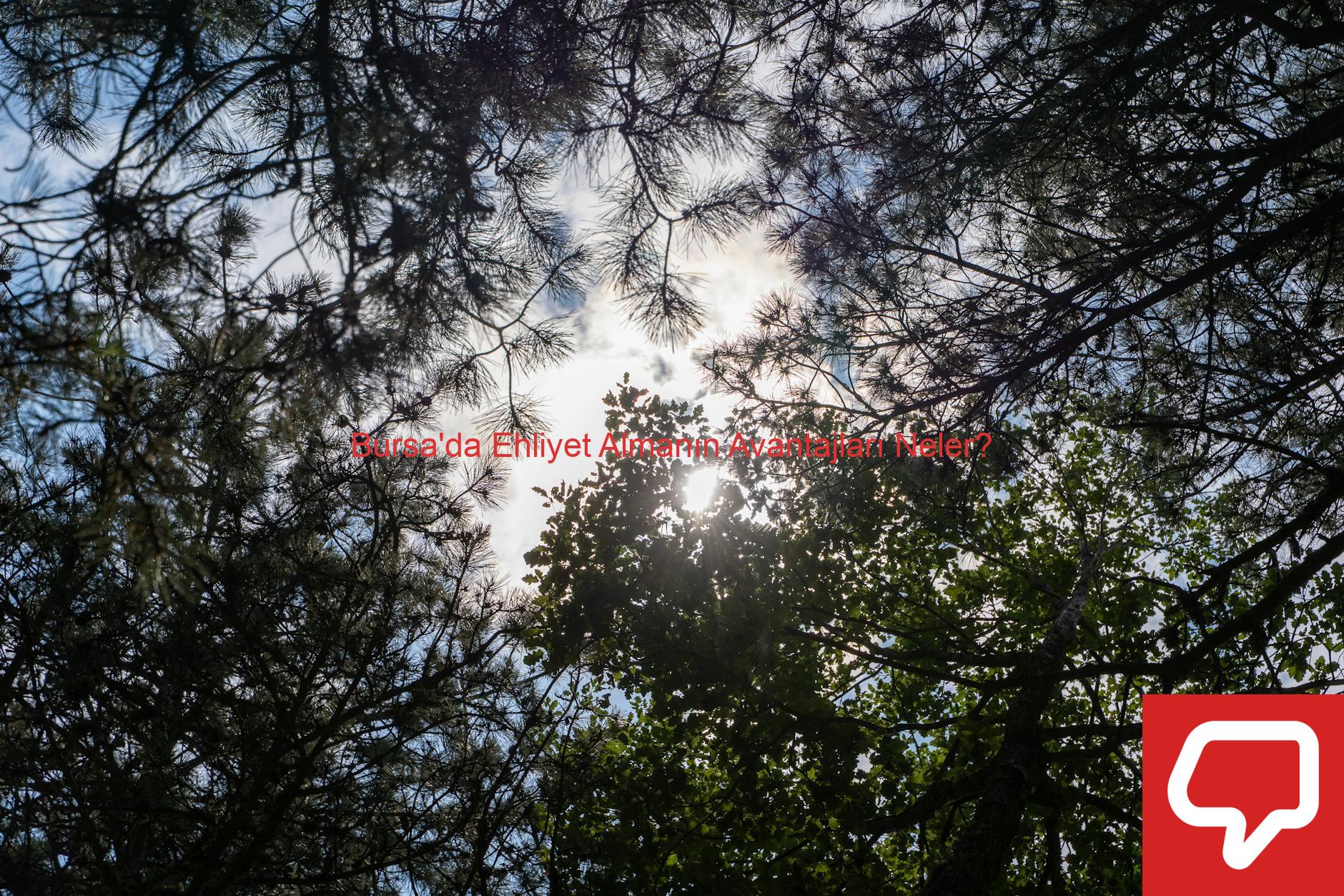 Bursa'da Ehliyet Almanın Avantajları Neler?