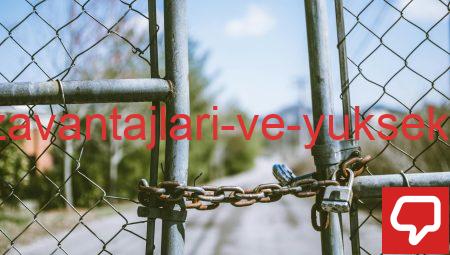 Çalışmanın Dezavantajları ve Yüksek Maliyet Sorunları