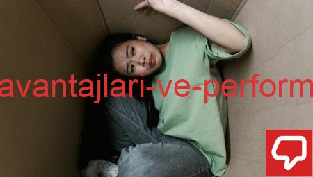 Çalışmanın Dezavantajları ve Performans Problemleri