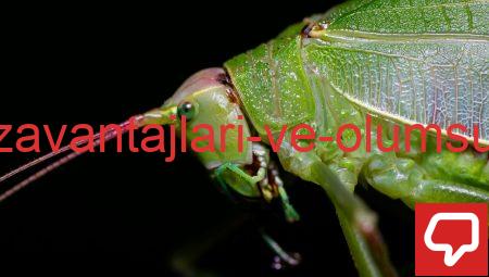 Kullanmanın Dezavantajları ve Olumsuz Performans Sorunları