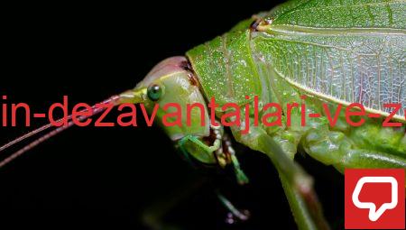 Sosyal Medyanın Dezavantajları ve Zorluklarla Mücadele