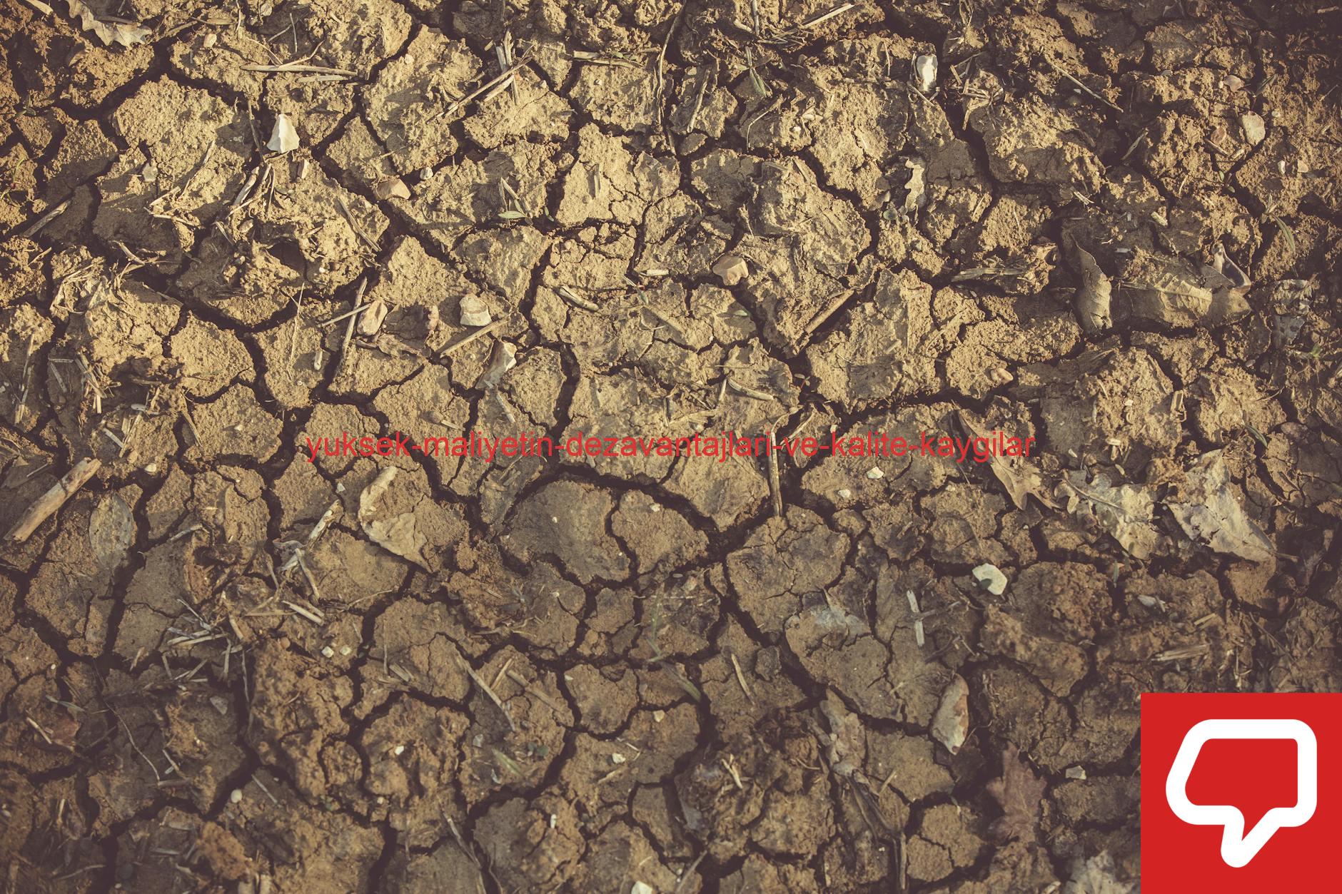 Close-up of cracked, arid soil showing detailed textures and patterns, indicative of drought conditions.