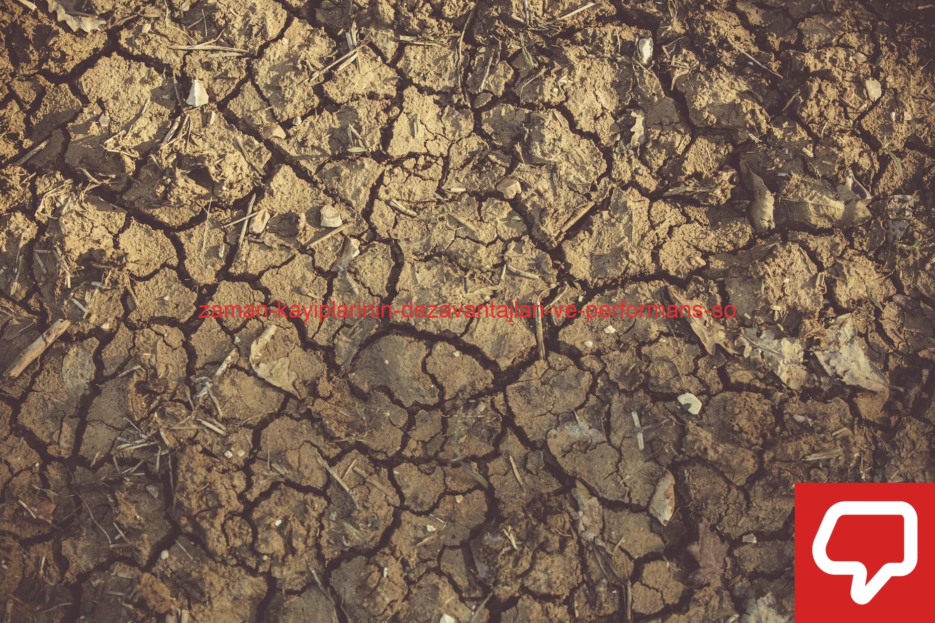 Close-up of cracked, arid soil showing detailed textures and patterns, indicative of drought conditions.