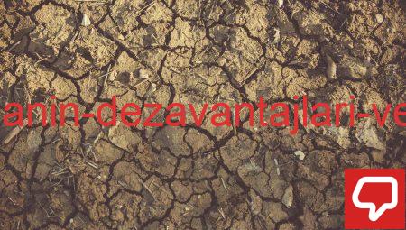 Sağlıklı Yaşamanın Dezavantajları ve Zaman Kaybı