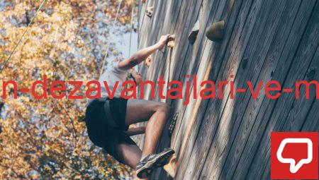 Faiz Oranının Dezavantajları ve Mali Kaygılar