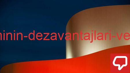 Zaman Yönetiminin Dezavantajları ve Sosyal Kayıplar