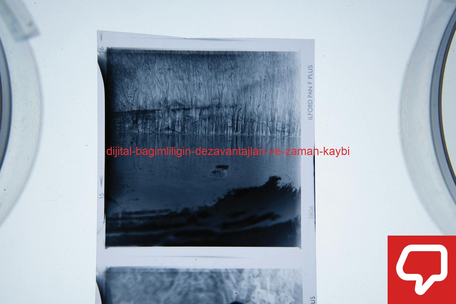 A black and white film negative showing a serene lake scene with tree reflections.