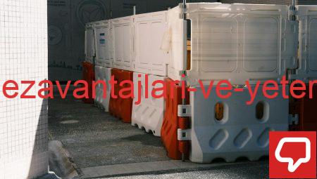 Teknolojinin Dezavantajları ve Yetersizlik Sorunları