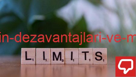 Yaşamanın Dezavantajları ve Mali Riskler
