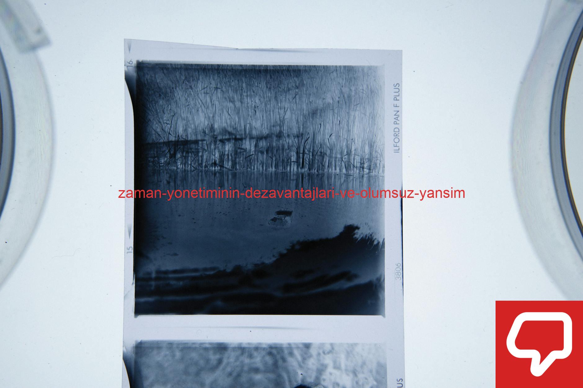 A black and white film negative showing a serene lake scene with tree reflections.